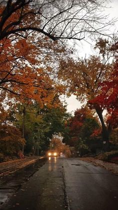 the car is driving down the wet road in the fall season with its headlights on