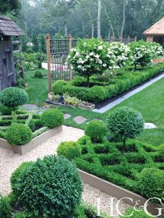 a garden with lots of trees and bushes