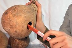 a person is using a pen to draw something on a large piece of fruit that looks like a giant potato