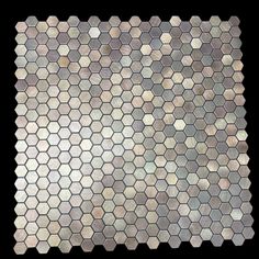 a black and white photo with hexagonal tiles on the bottom, in shades of silver