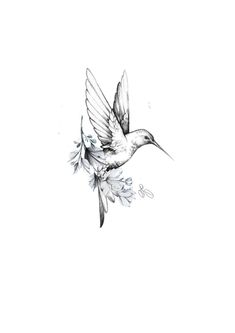 a black and white drawing of a bird flying