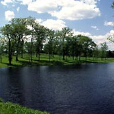 a lake surrounded by trees and grass on a sunny day