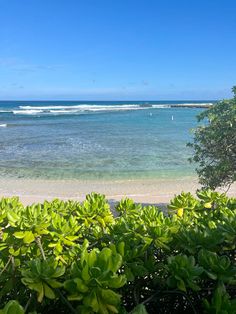 the beach is surrounded by trees and water