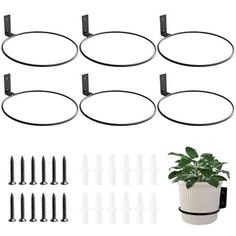 the set of 12 round metal wall mounted planters is shown in black and white