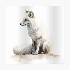 a watercolor painting of a white fox sitting on the ground with its eyes closed