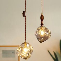 two glass lights hanging from the ceiling next to a potted plant in a living room