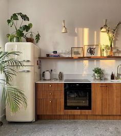 a kitchen with an old refrigerator, sink and potted plants