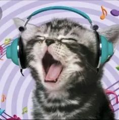 a cat wearing headphones and singing with music notes around it's neck in front of a purple background