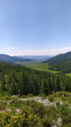 a scenic view of mountains and trees in the distance with blue skies above them, on a sunny day