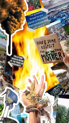 #climatechange #earth #myfirstshuffle #collage #pollution #savetheplanet #savetheworld Art Terms, Save The World, Someone Elses, Our Planet, Pollution, Collage, Pins, Quick Saves