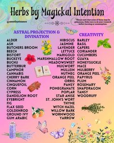 Herbs For Creativity, Herbs For Abundance, Herbs And Flowers Witchcraft, Witch Herb Essentials, Motivation Herbs Witchcraft, Herbs And Their Magical Properties, Magical Correspondences Herbs, Dream Herbs