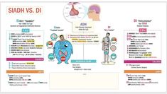 the diagram shows different types of saah and diffrents in human body