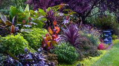 a garden filled with lots of different types of plants and flowers next to a lush green field