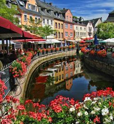 flowers are blooming along the water in front of buildings and tables with umbrellas