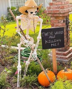 a skeleton with a straw hat is standing in the garden next to some pumpkins