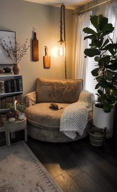 a living room filled with furniture and a large potted plant on top of a table