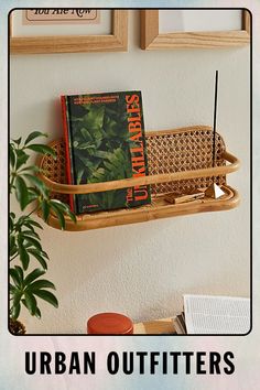 there is a shelf with books on it next to a potted plant