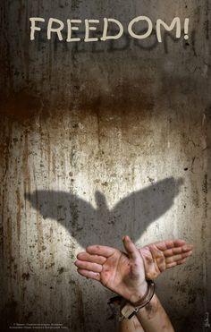 two hands reaching out towards the shadow of a bird