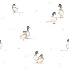 two ducks are standing in the snow on a white background, one is looking at its own reflection