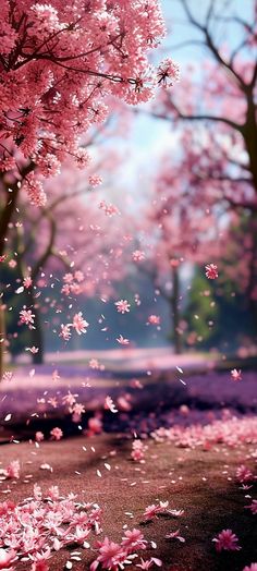 pink flowers are falling from trees in the park