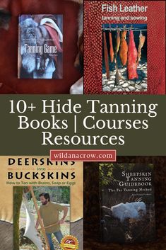 the cover of 10 + hide taming books and resources