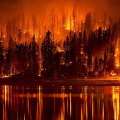 a forest fire burning in the distance with trees on it's sides and lights reflecting in the water