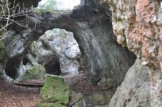 an entrance to a cave with moss growing on the rocks