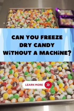 two trays filled with candy and the words can you freeze dry candy without a machine?