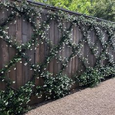 a wooden fence with vines growing on it's side and gravel path next to it