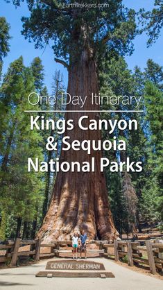 two people standing in front of a large tree with the words king's canyon and sequia national parks