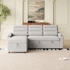 a grey couch sitting on top of a rug in a living room