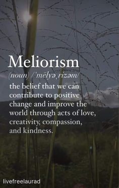 a quote from the book, melorisism