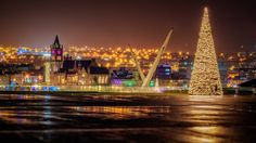 a christmas tree is lit up in front of a large city at night with lights on it