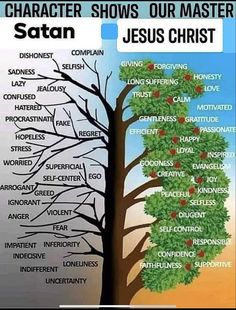 a tree with the names of different parts of jesus's life and his branches