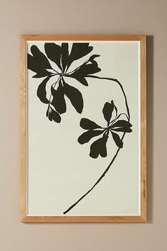 a framed black and white flower on a wall