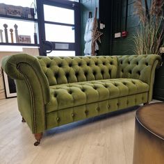 a green couch sitting on top of a hard wood floor next to a planter