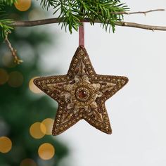 a star ornament hanging from a tree branch