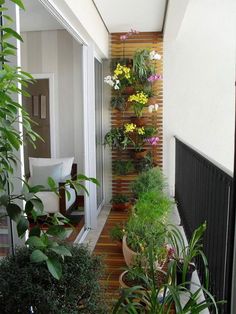 a balcony with potted plants on the wall