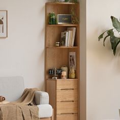 a living room filled with furniture and a plant