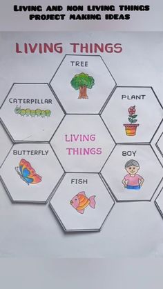 the living things hexagon is shown with words on it and an image of a tree