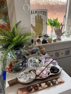 a table topped with lots of rocks and other items next to a potted plant