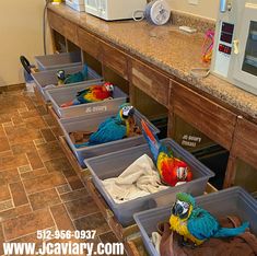 three parrots are sitting in plastic containers on the counter top next to a microwave