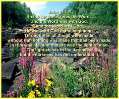 a bible verse with flowers and rocks in the background