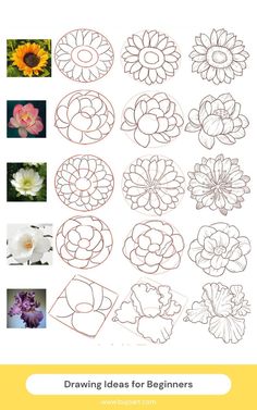 an image of flowers that are drawn on paper with the words drawing ideas for beginners