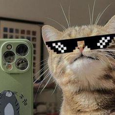 a cat wearing sunglasses next to an iphone case with the same image on it's face