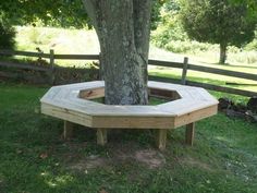 a wooden bench sitting under a tree in the grass