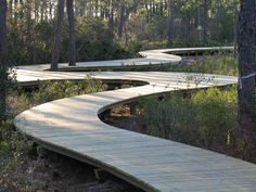 there is a curved walkway in the woods