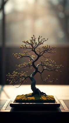 a bonsai tree sitting on top of a wooden table