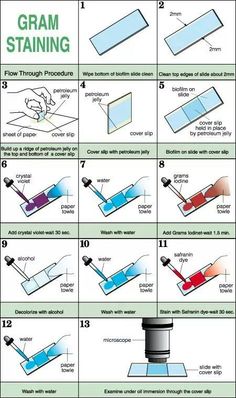 the instructions for how to install a glass window