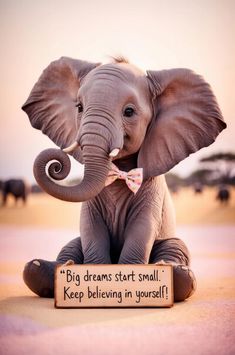 an elephant with a sign that says,'big dreams start small keep believing in yourself